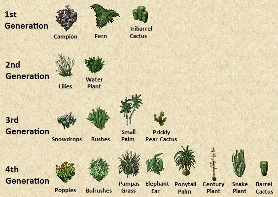 Description: ClassicPlants.jpg