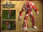 Flesh Golem