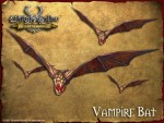 Vampire Bat