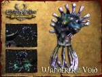 Wanderer of the Void
