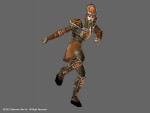Meer Warrior