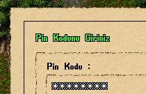 Pin Kodu Korumas�