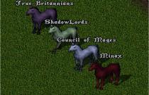 Faction Sistemi