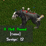 Hell Hound